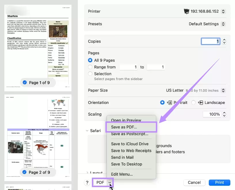 另存為 PDF 文件
