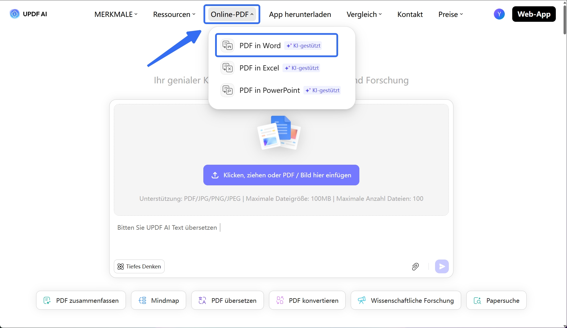 PDF in Word
