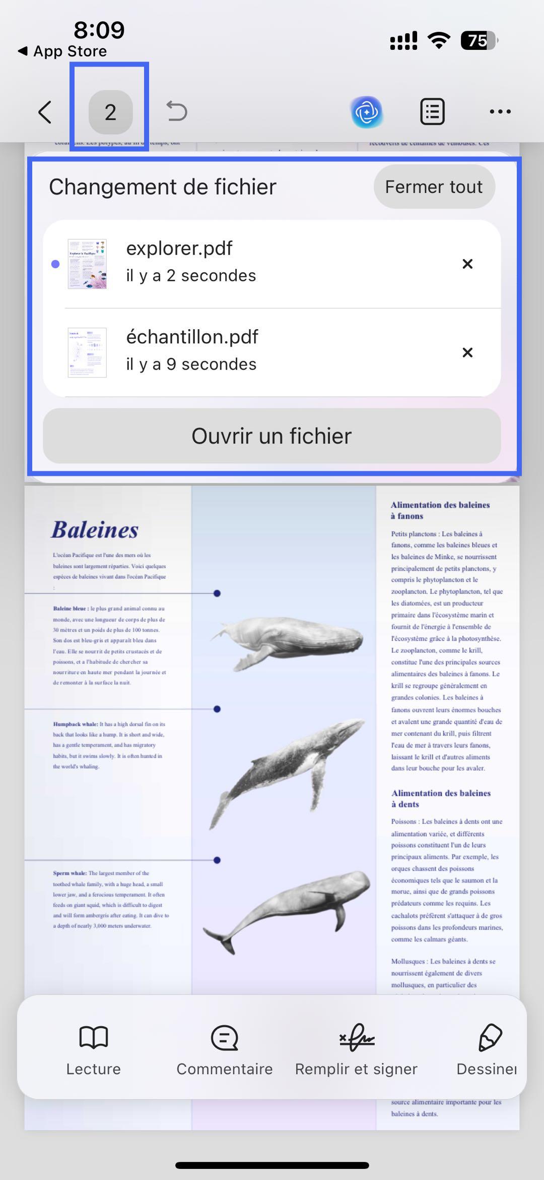 ouvrir plusieurs fichiers dans ios updf