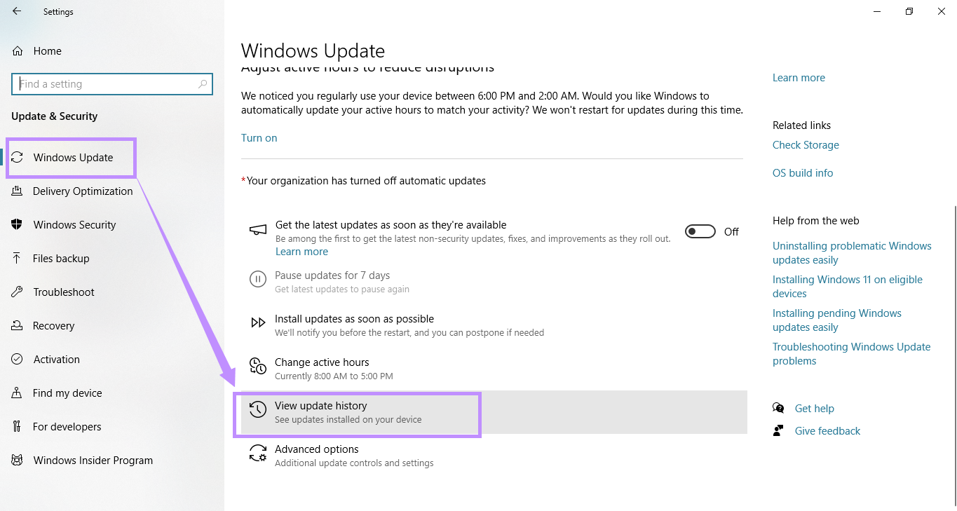 go to view update history