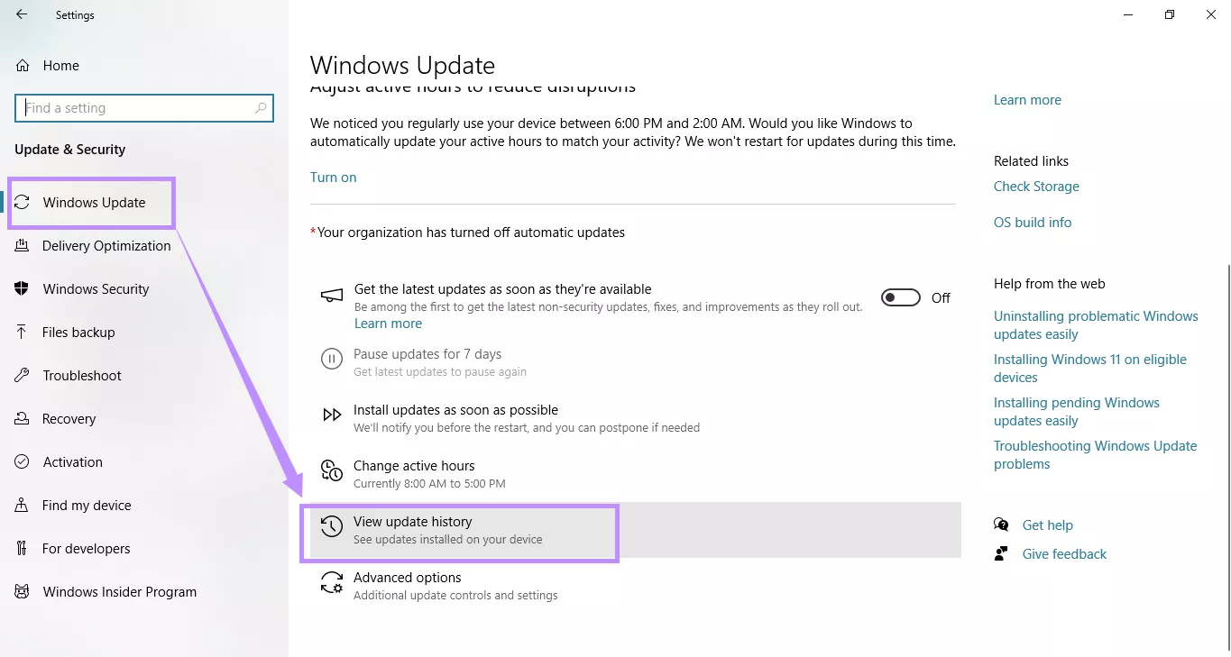 go to view update history