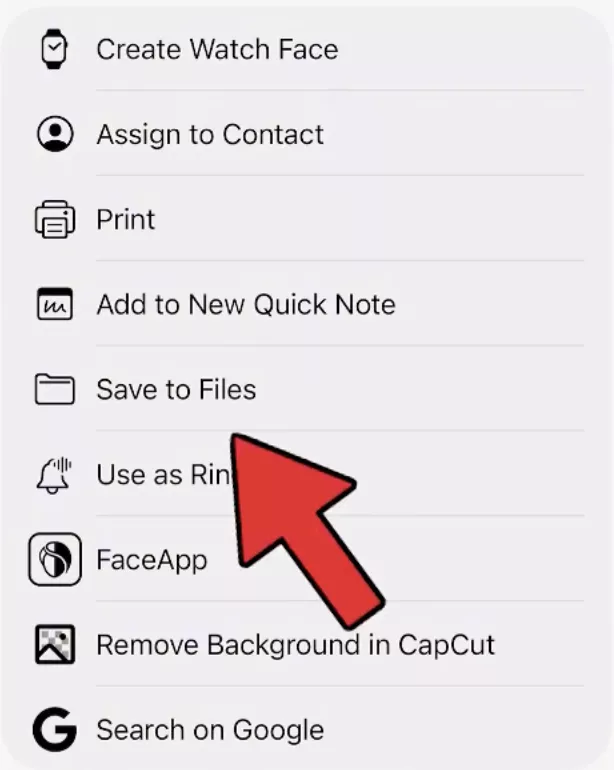 save to files button