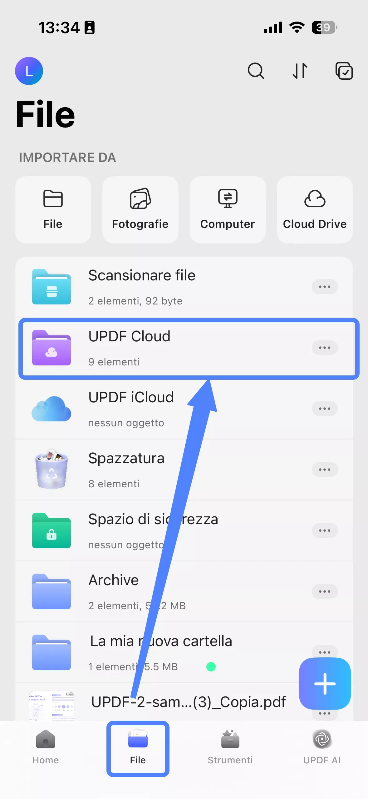  file interface on ios