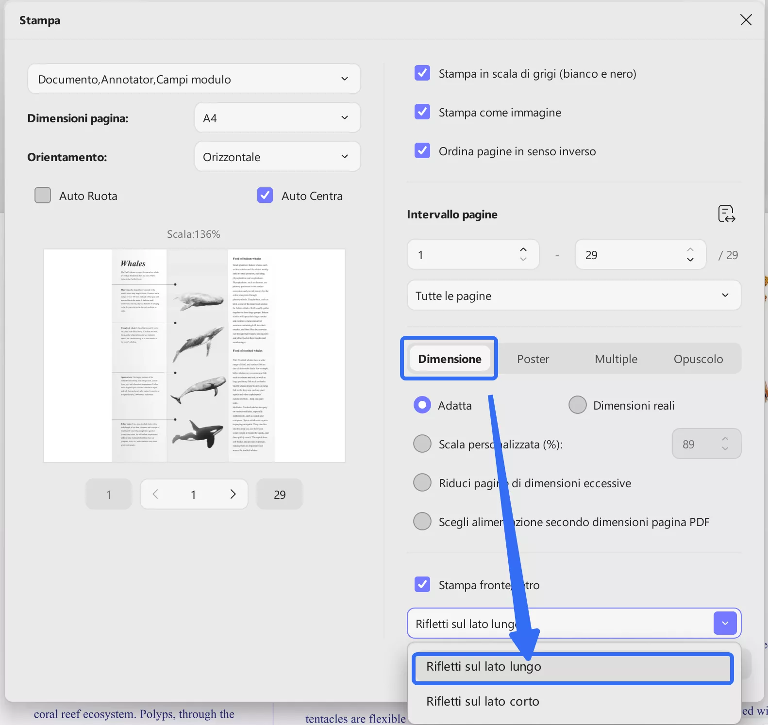 flip on long edge in updf print