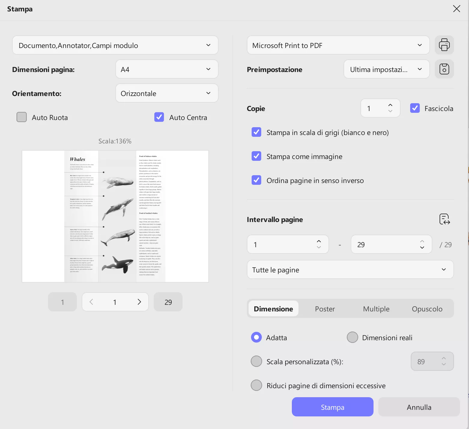 print settings of UPDF