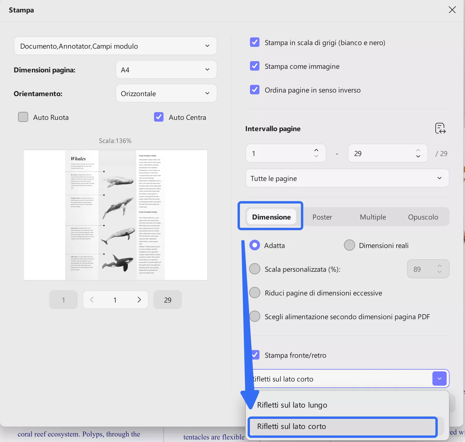 flip on short edge option in updf print