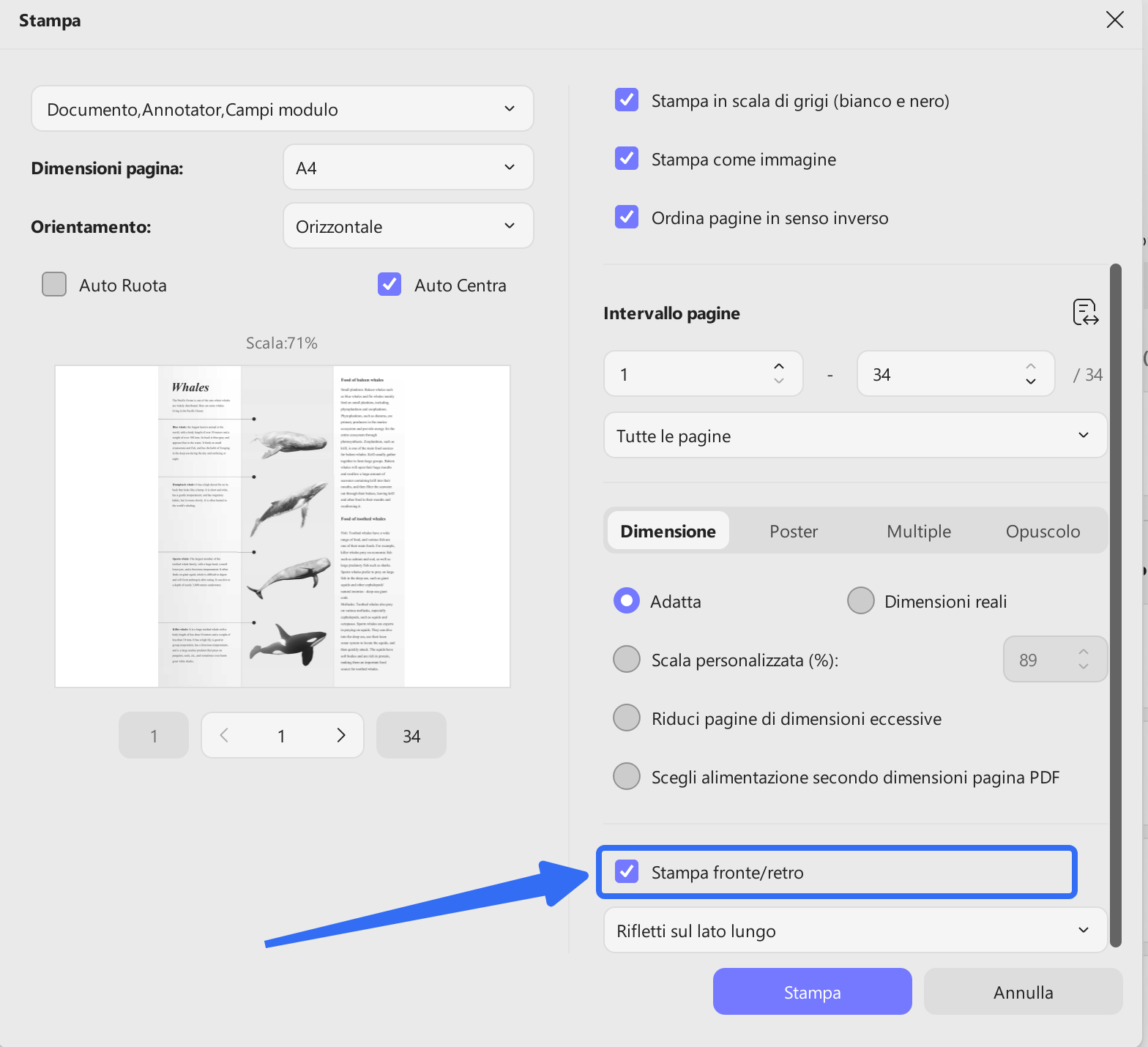 batch print steps