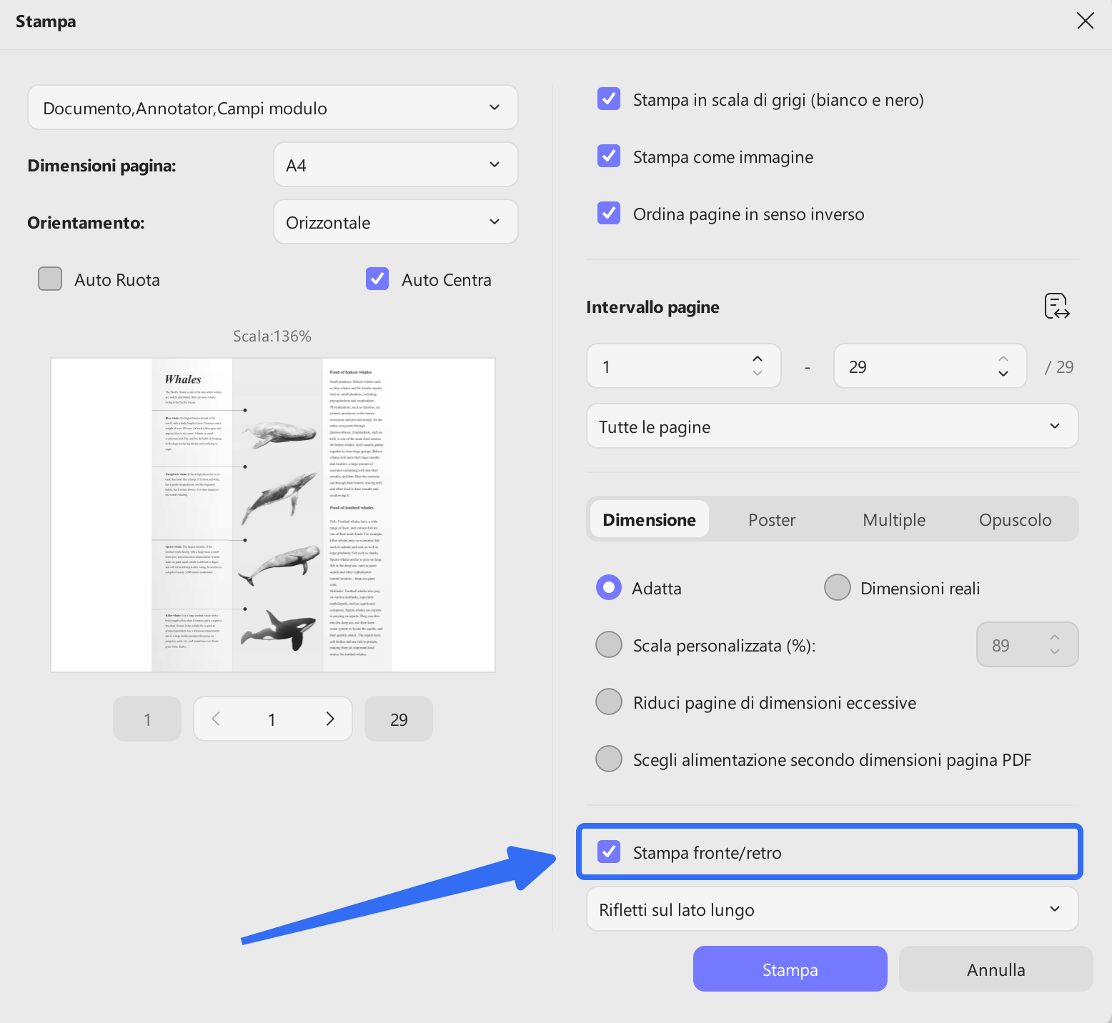click print on both sides of paper option