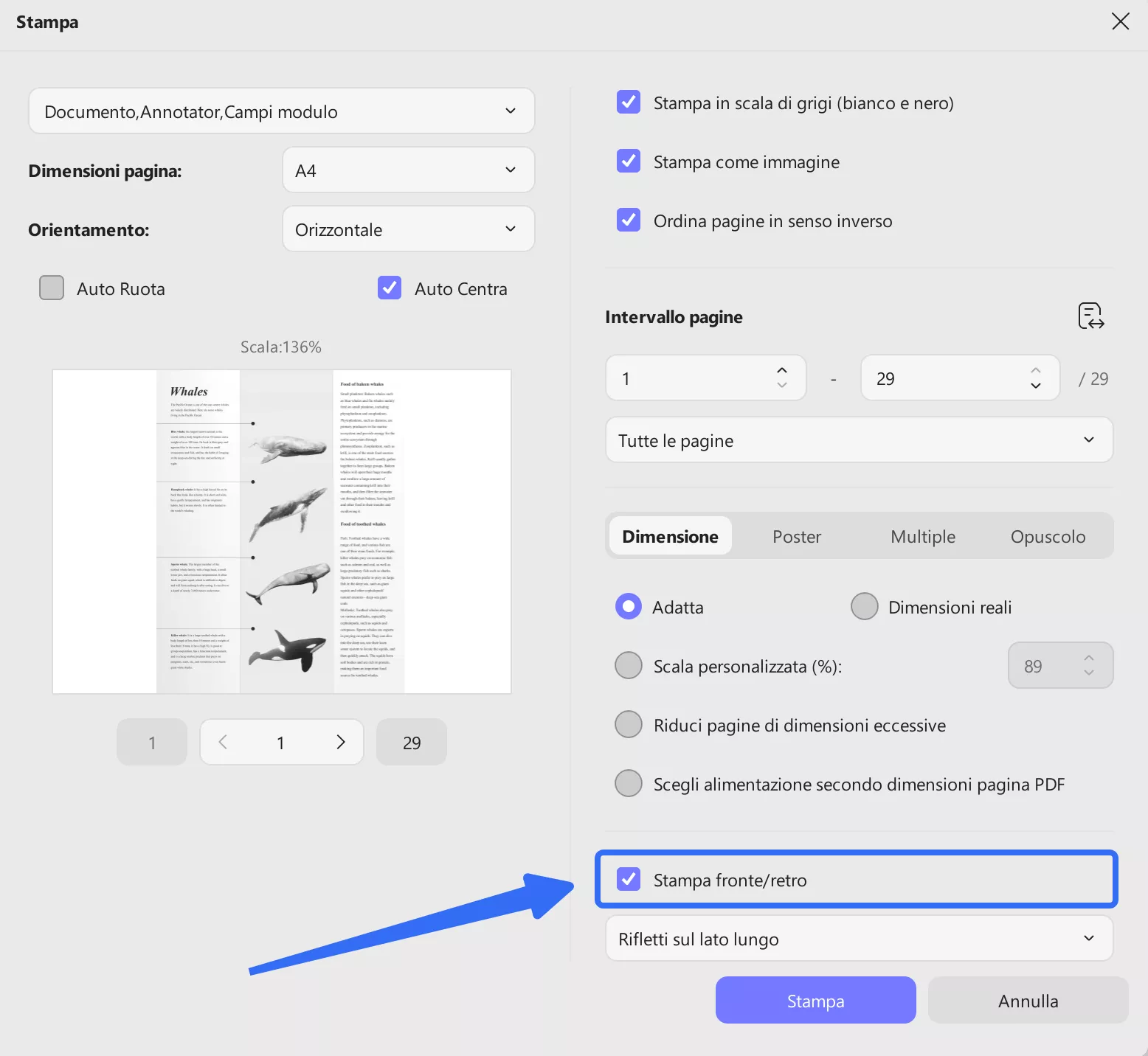 click print on both sides of paper option