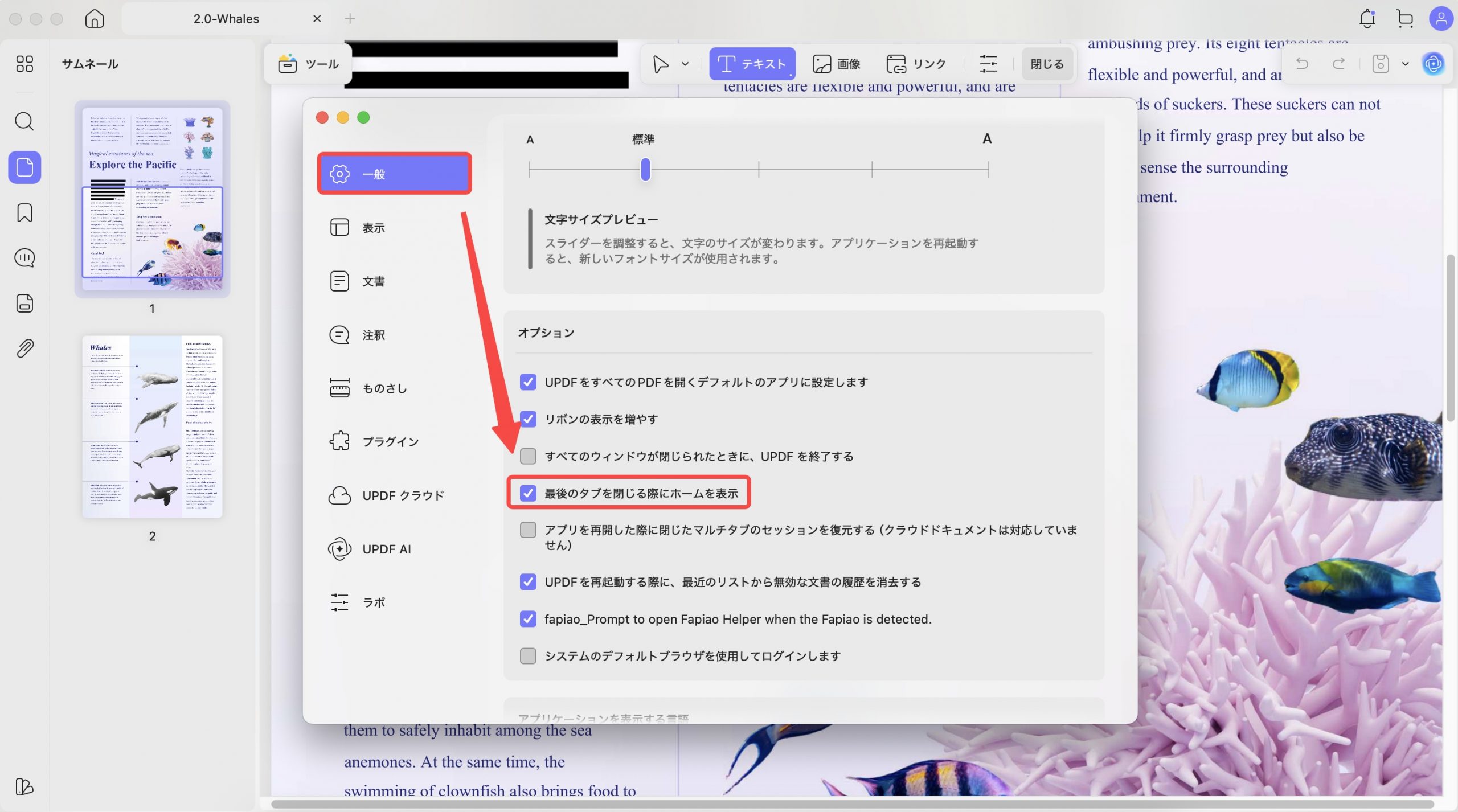 ホーム画面を表示するかどうかを選択できる