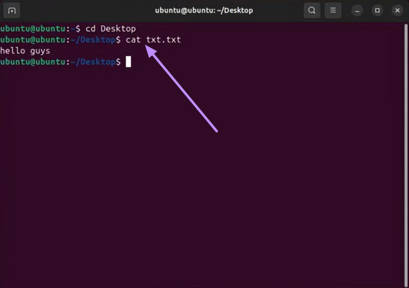 type cat filename.txt