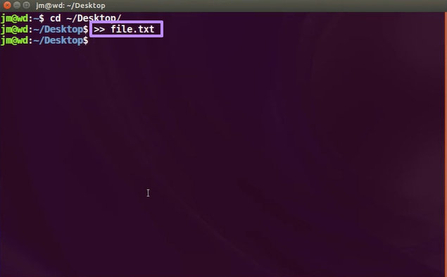 type >> file.txt