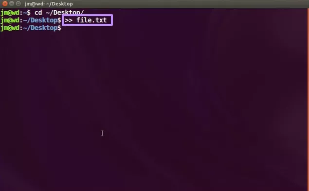 type >> file.txt