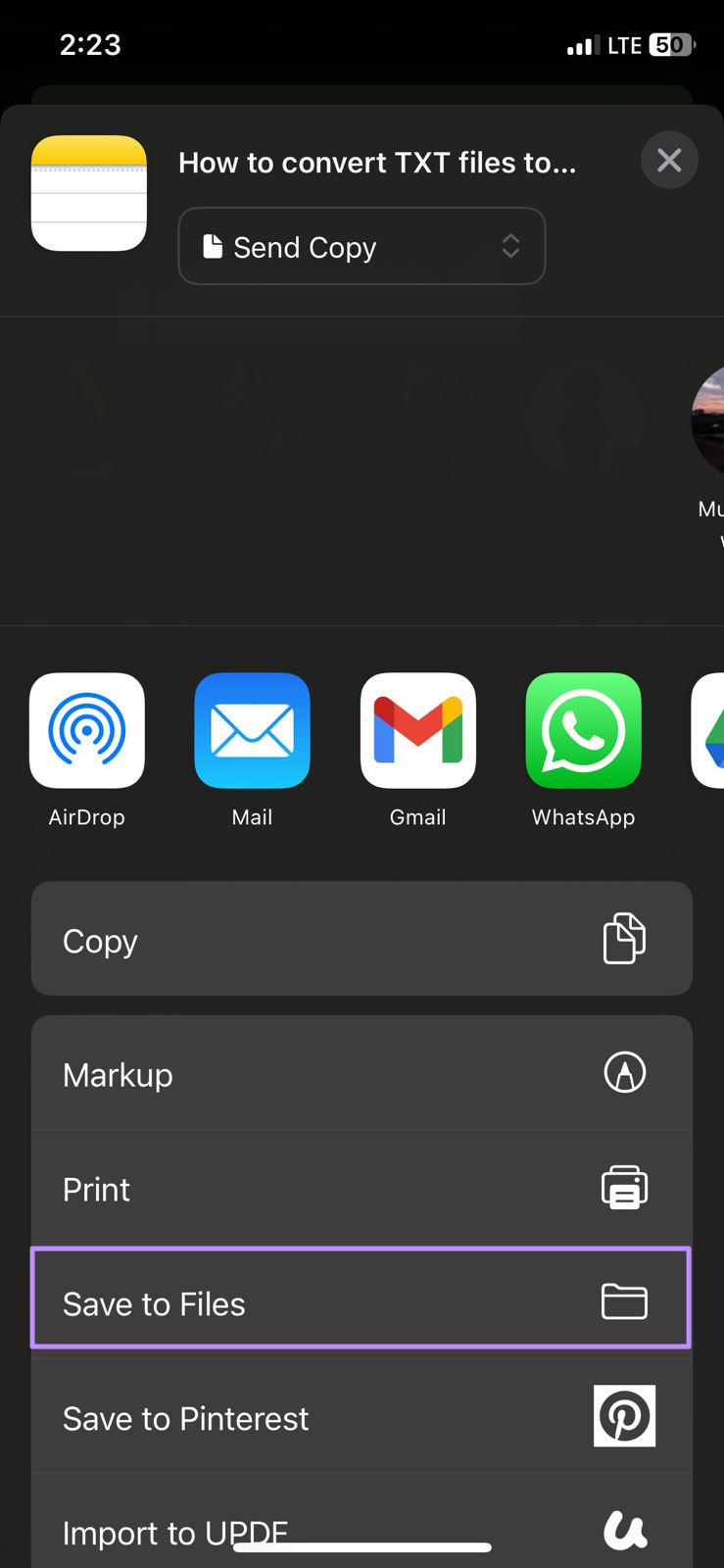 choose save to files option