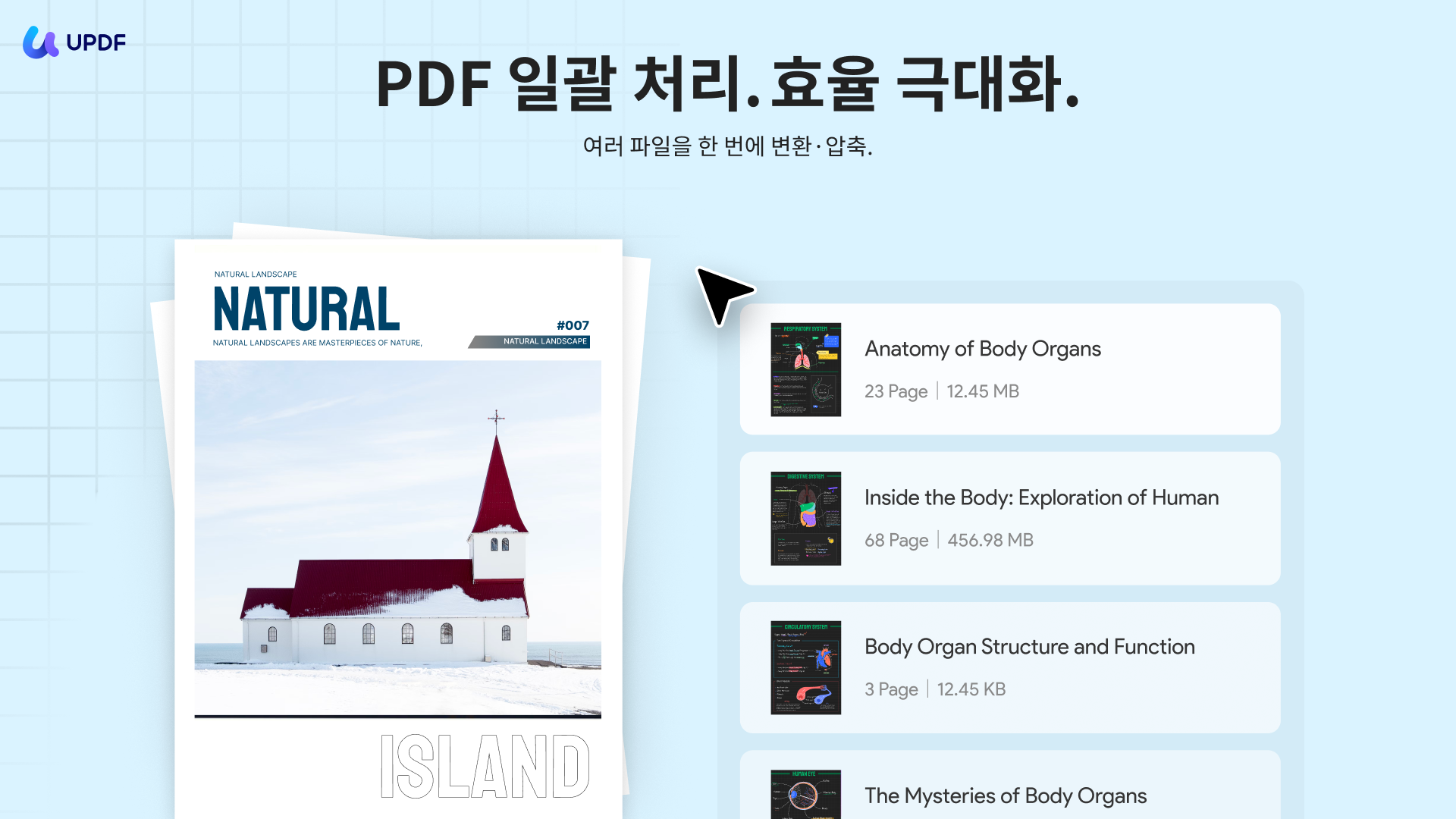 PDF 일괄 처리
