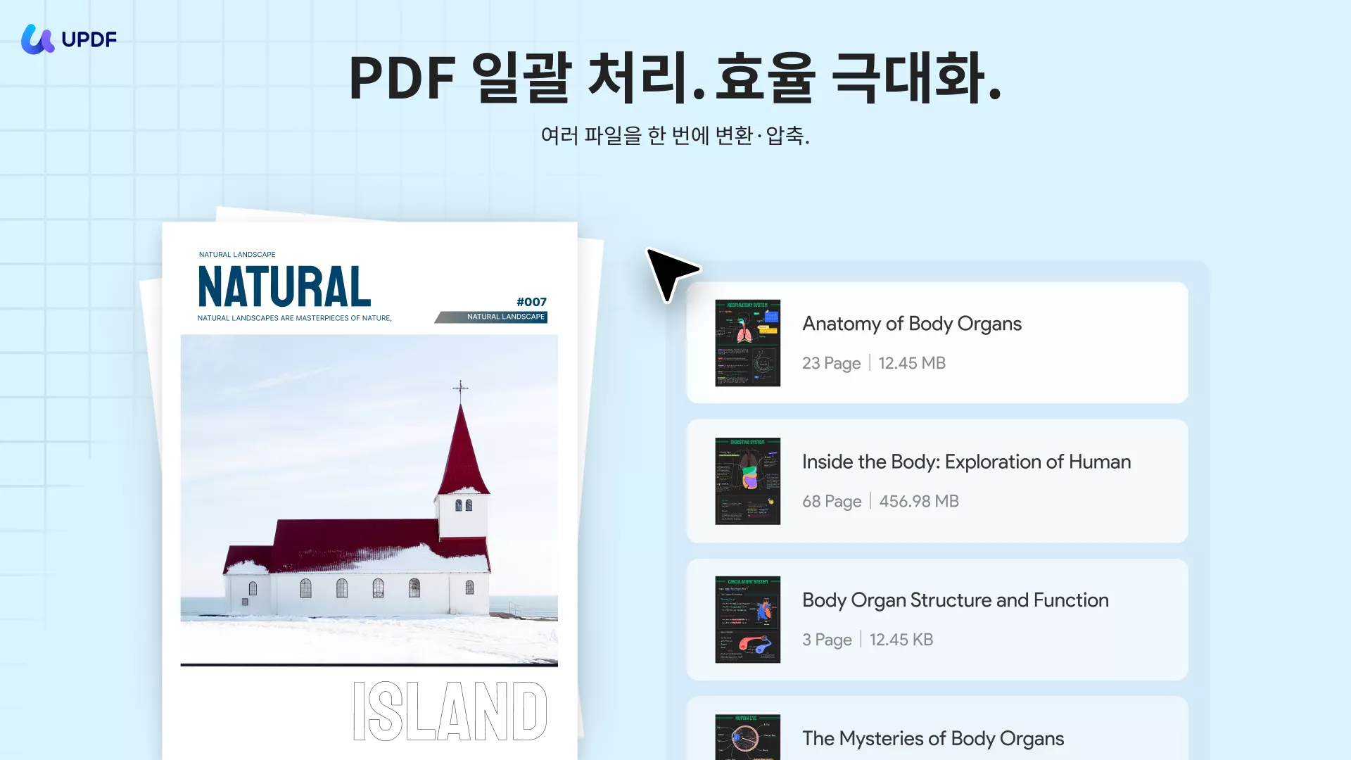 PDF 일괄 처리