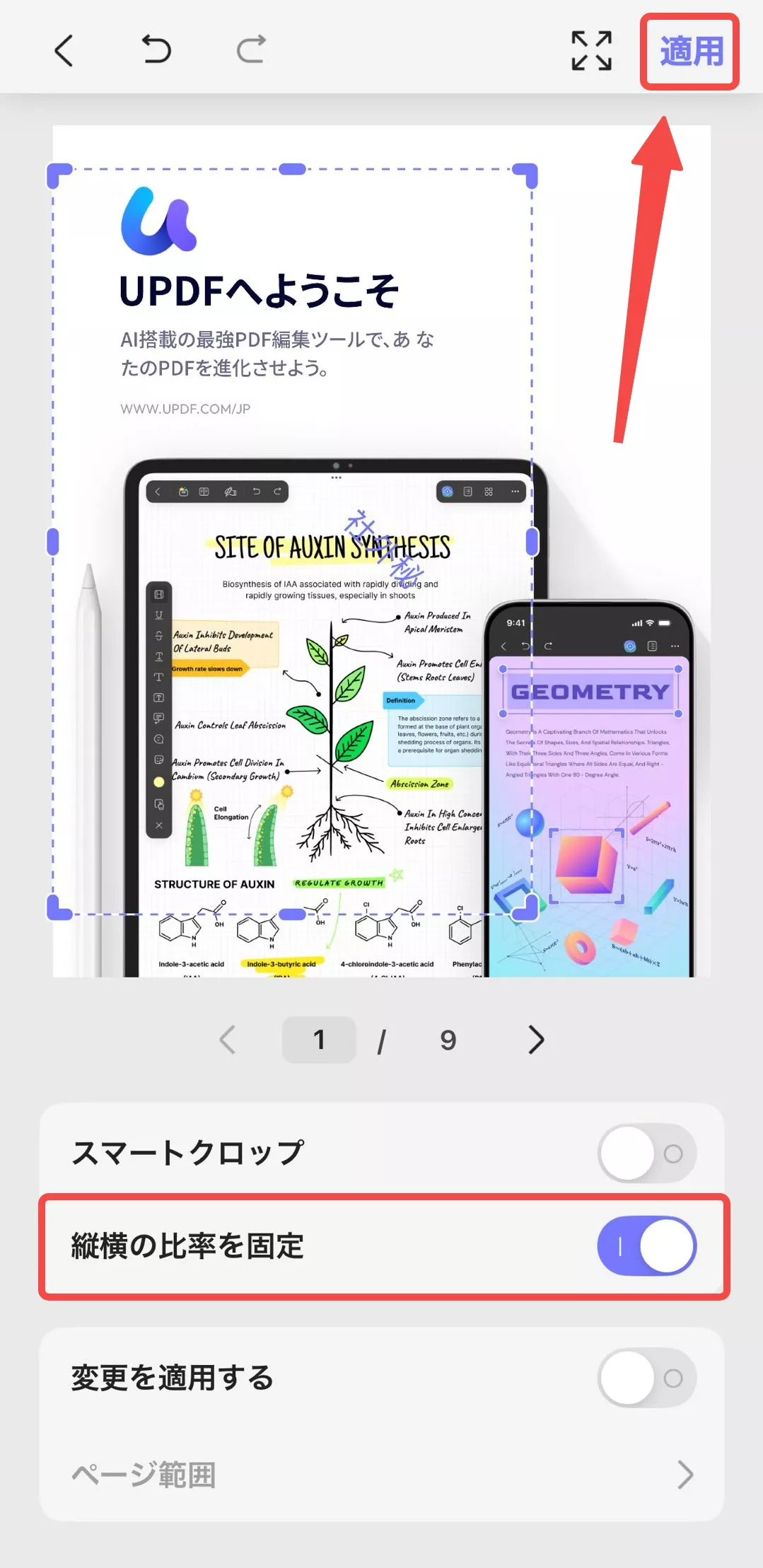 縦横の比率を固定する