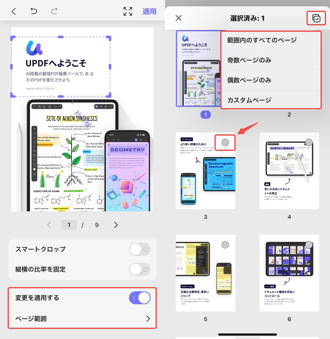 複数ページの一括トリミング