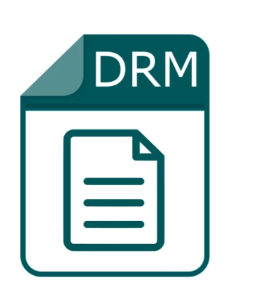 drm 파일 포맷