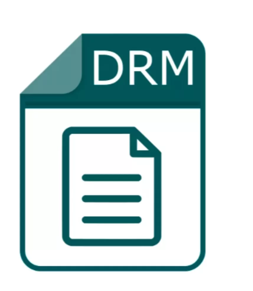 drm 파일 포맷