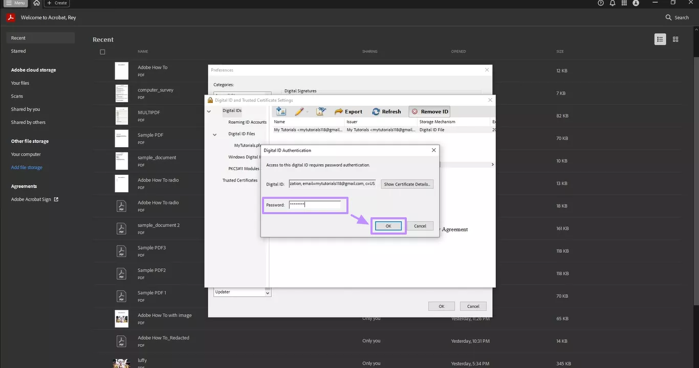 entering password and hitting ok