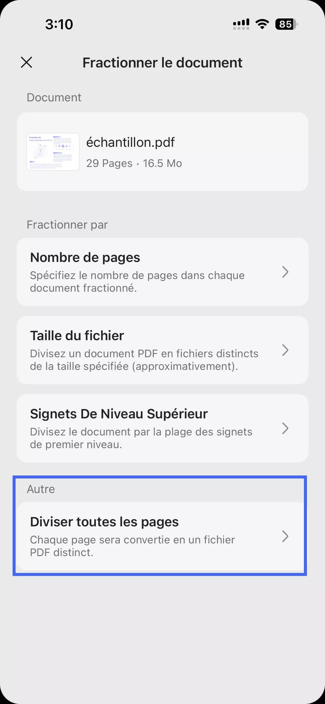 Option de fractionnement de toutes les pages updf ios