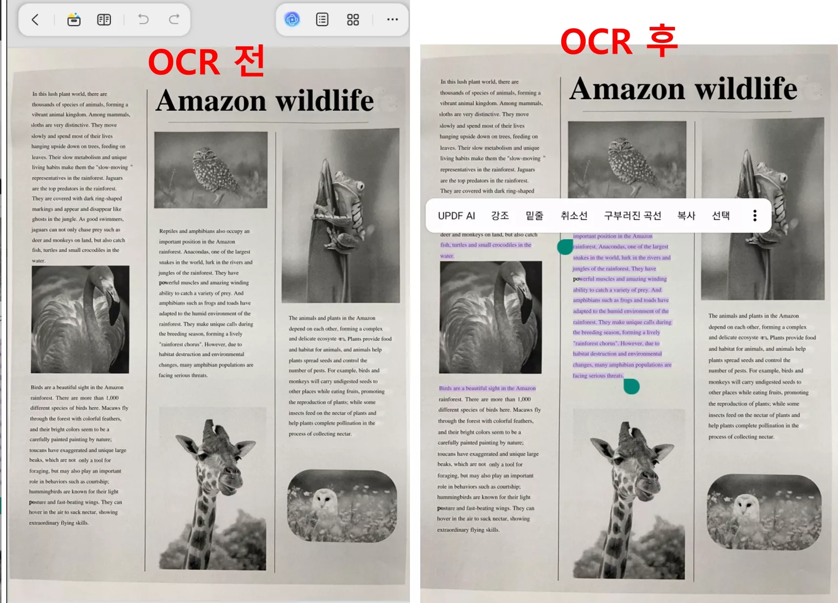 UPDF 안드로이드 모바일 버전