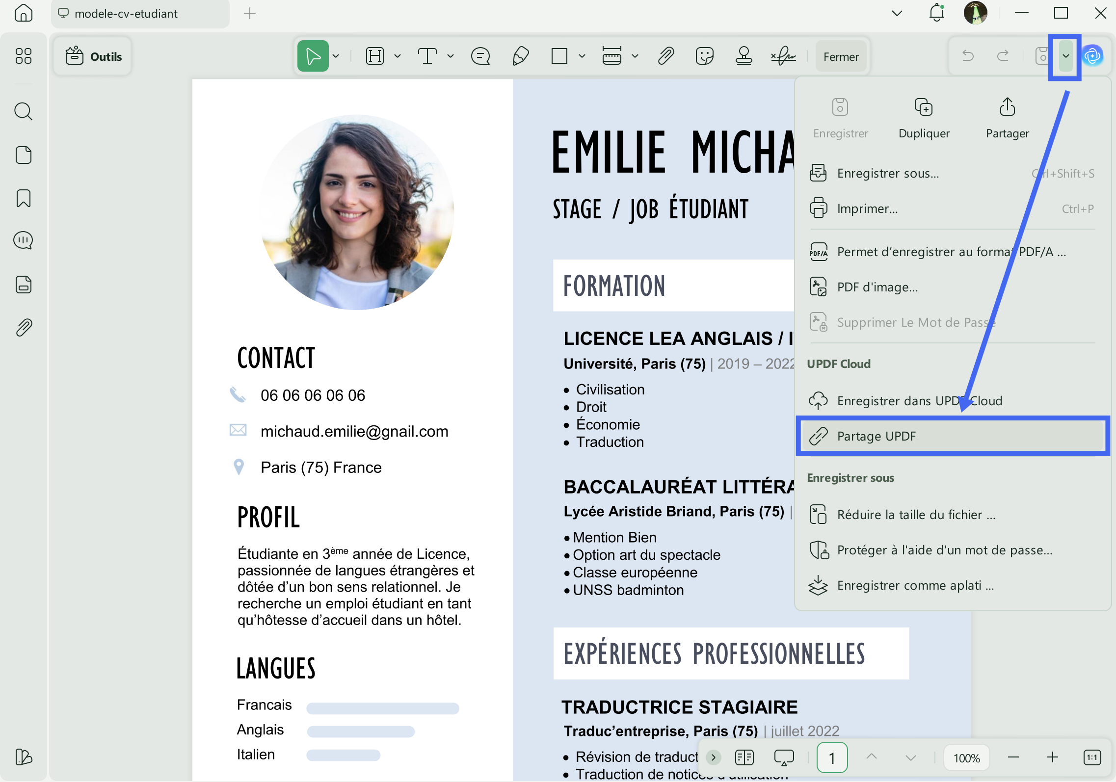 Message de bonne chance, partagez le modèle PDF