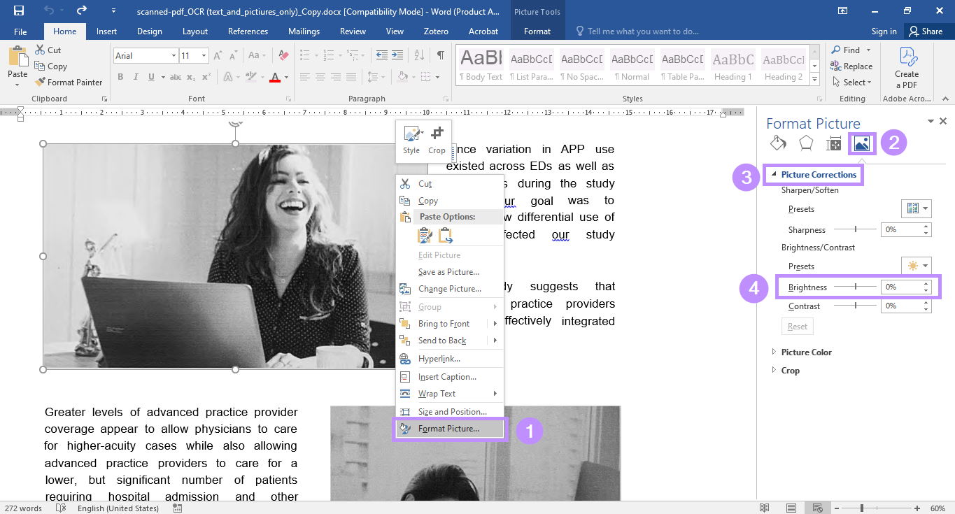 adjust brightness under format picture menu