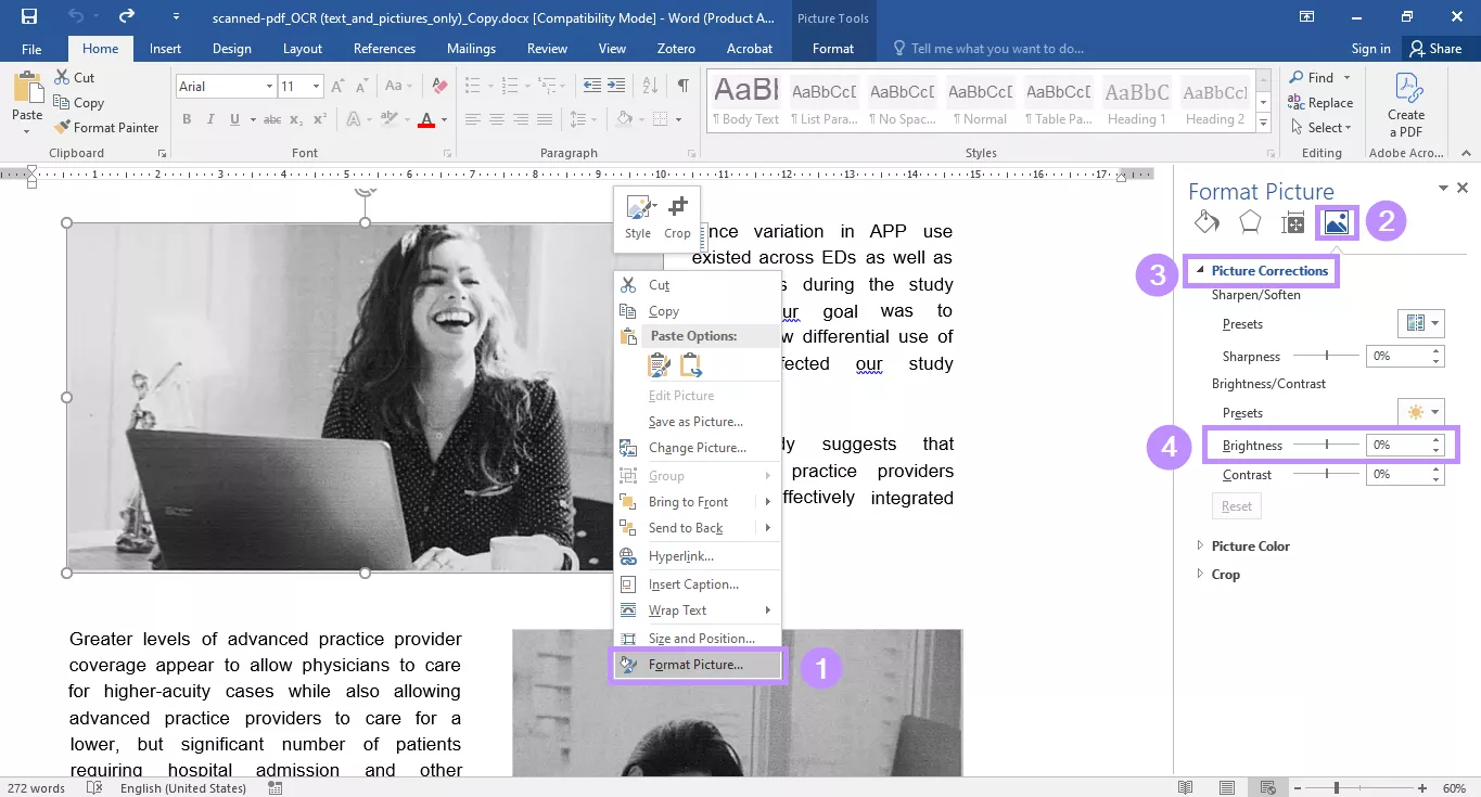 adjust brightness under format picture menu
