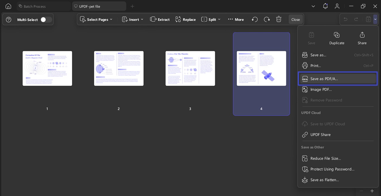 choose save as pdf/a option
