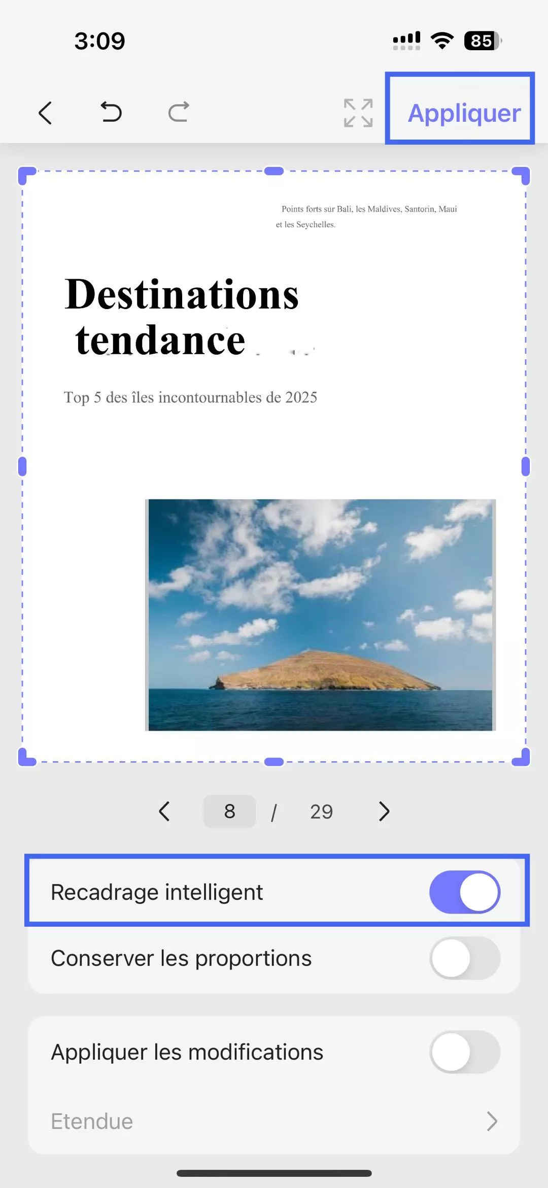 options de recadrage intelligent iOS updf