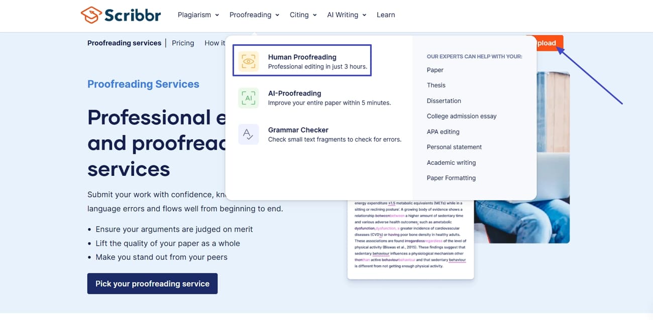 obter ajuda humana para revisar