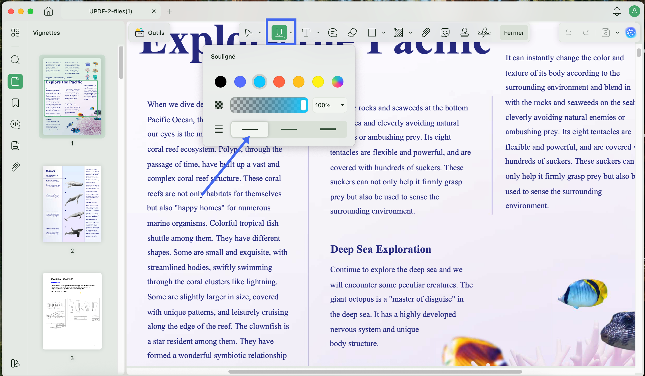 paramètres d’épaisseur pour l’annotation