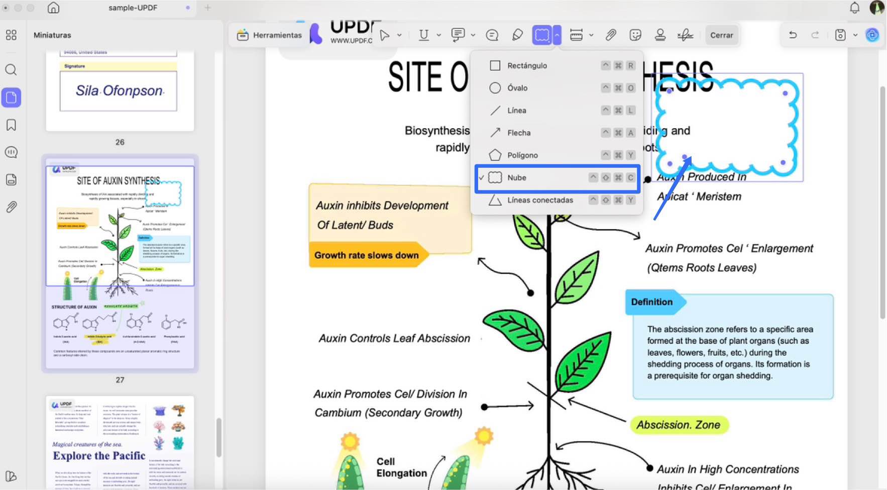 add cloud-shaped annotations