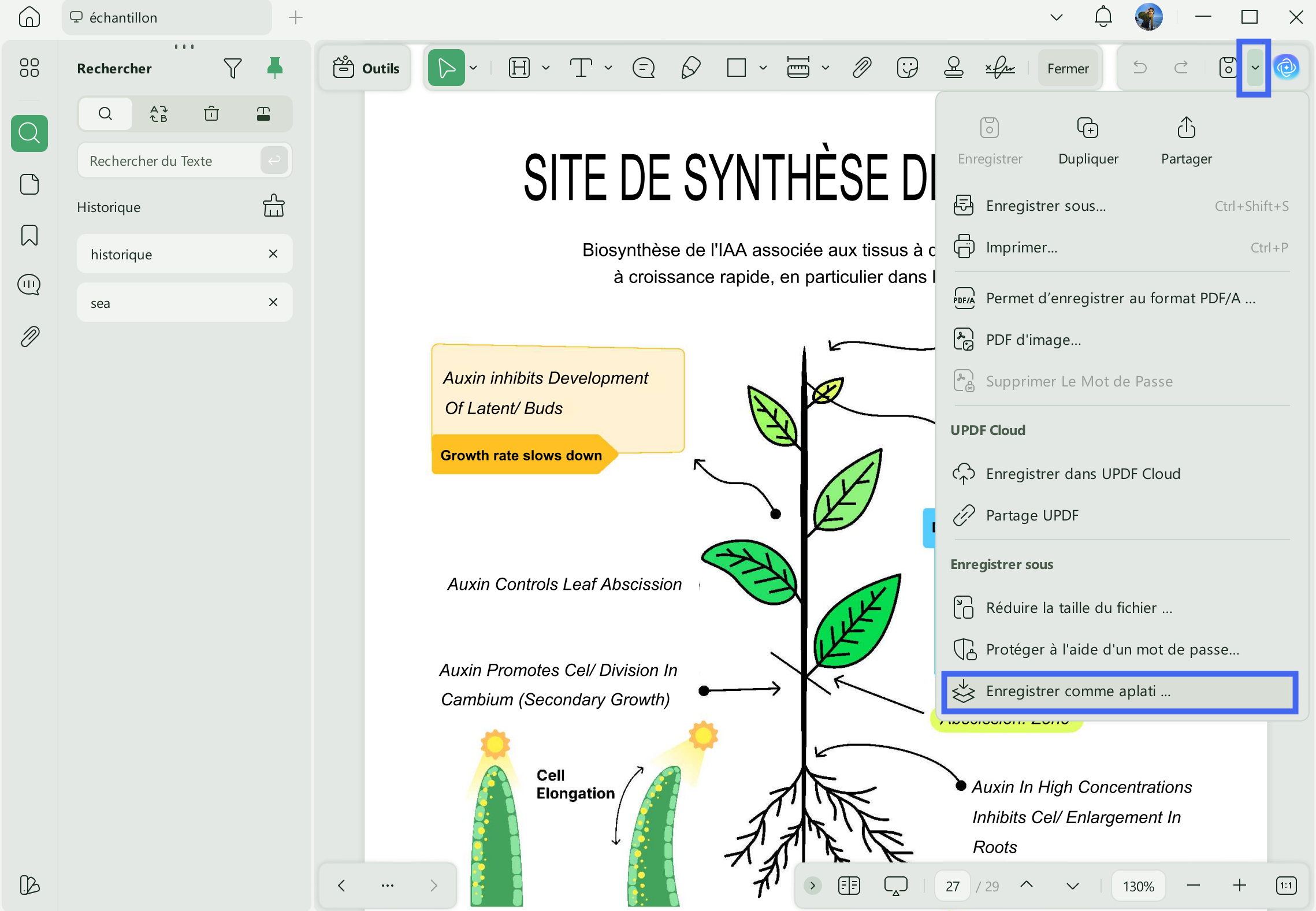 option « Enregistrer au format PDF aplati »