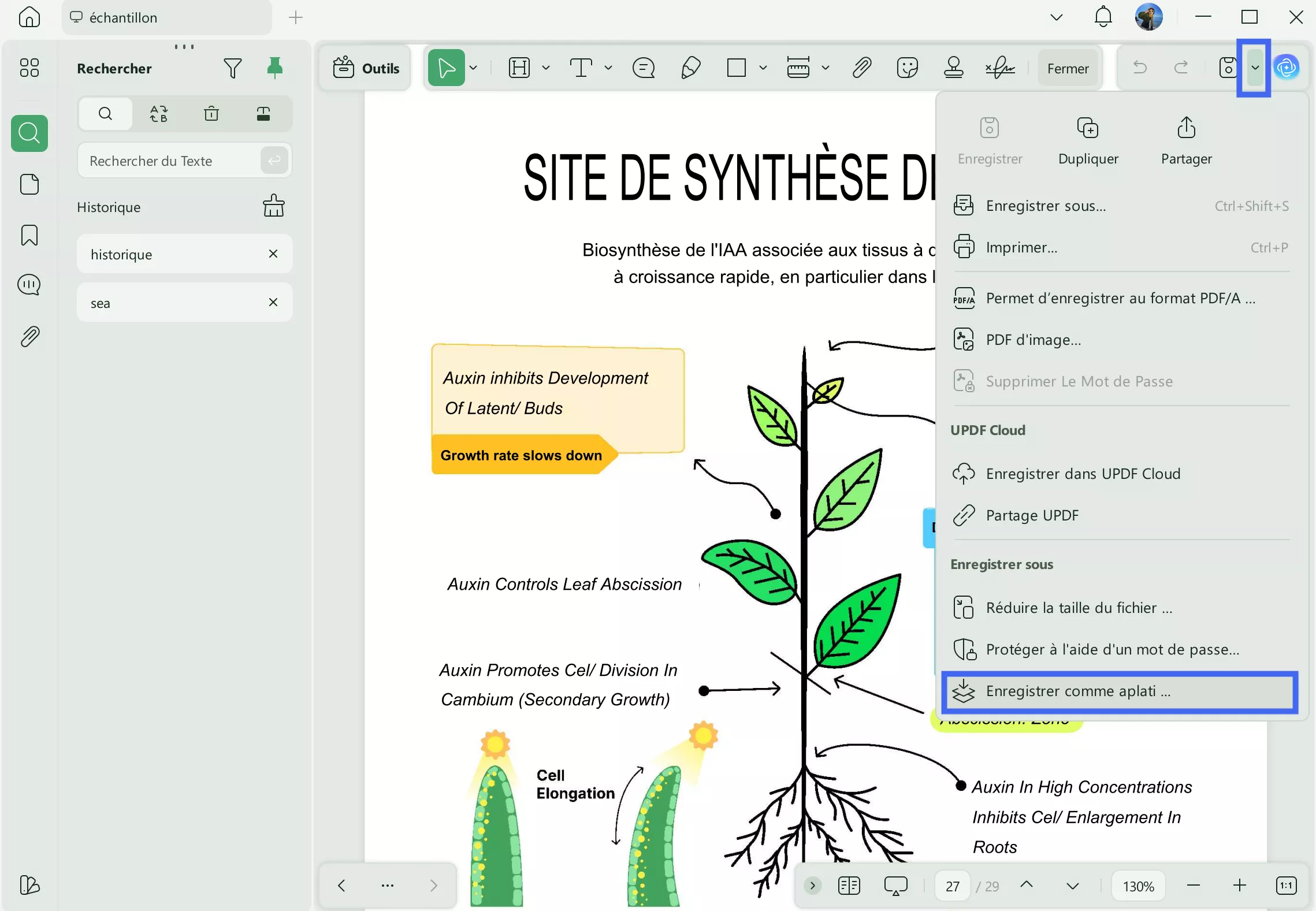 option « Enregistrer au format PDF aplati »