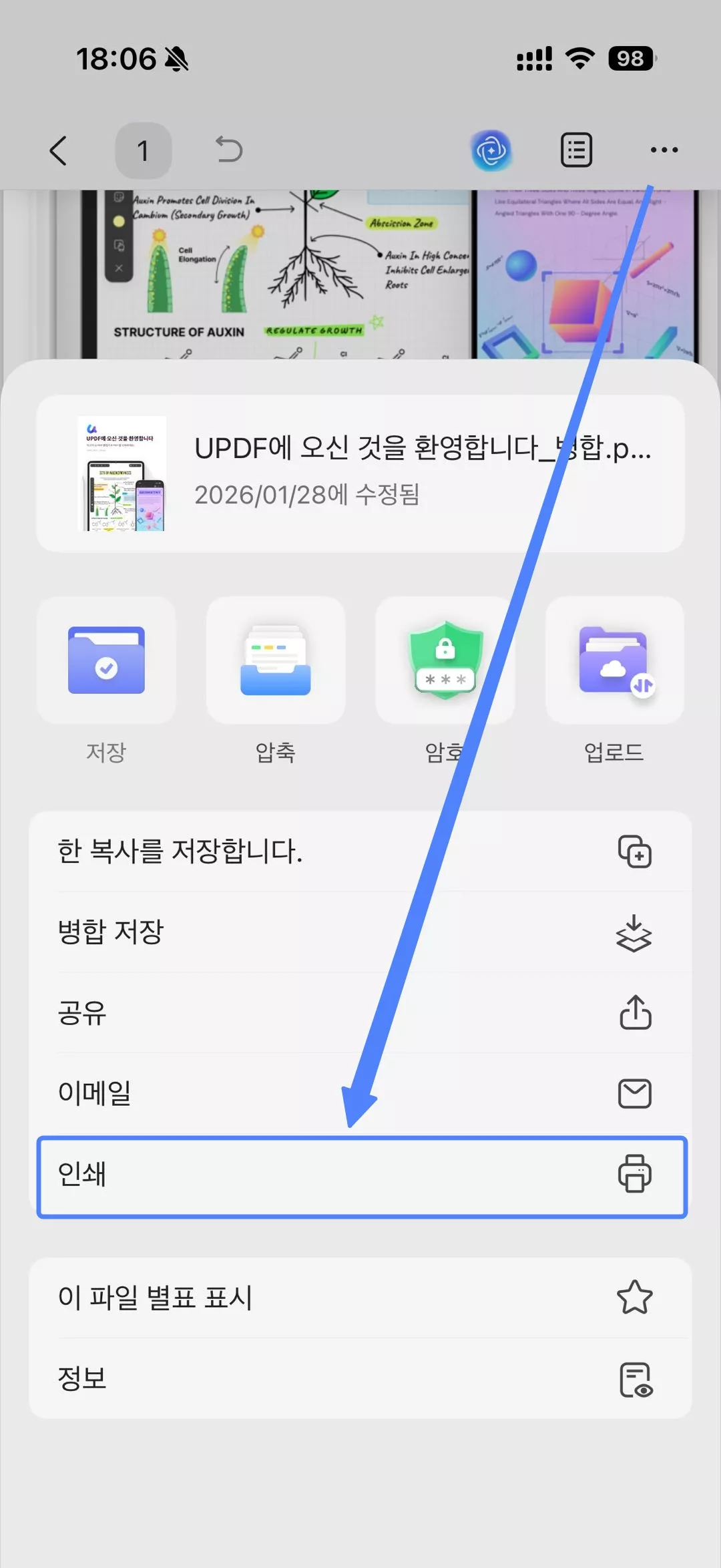 아이폰 pdf 한 페이지에 여러 장 인쇄