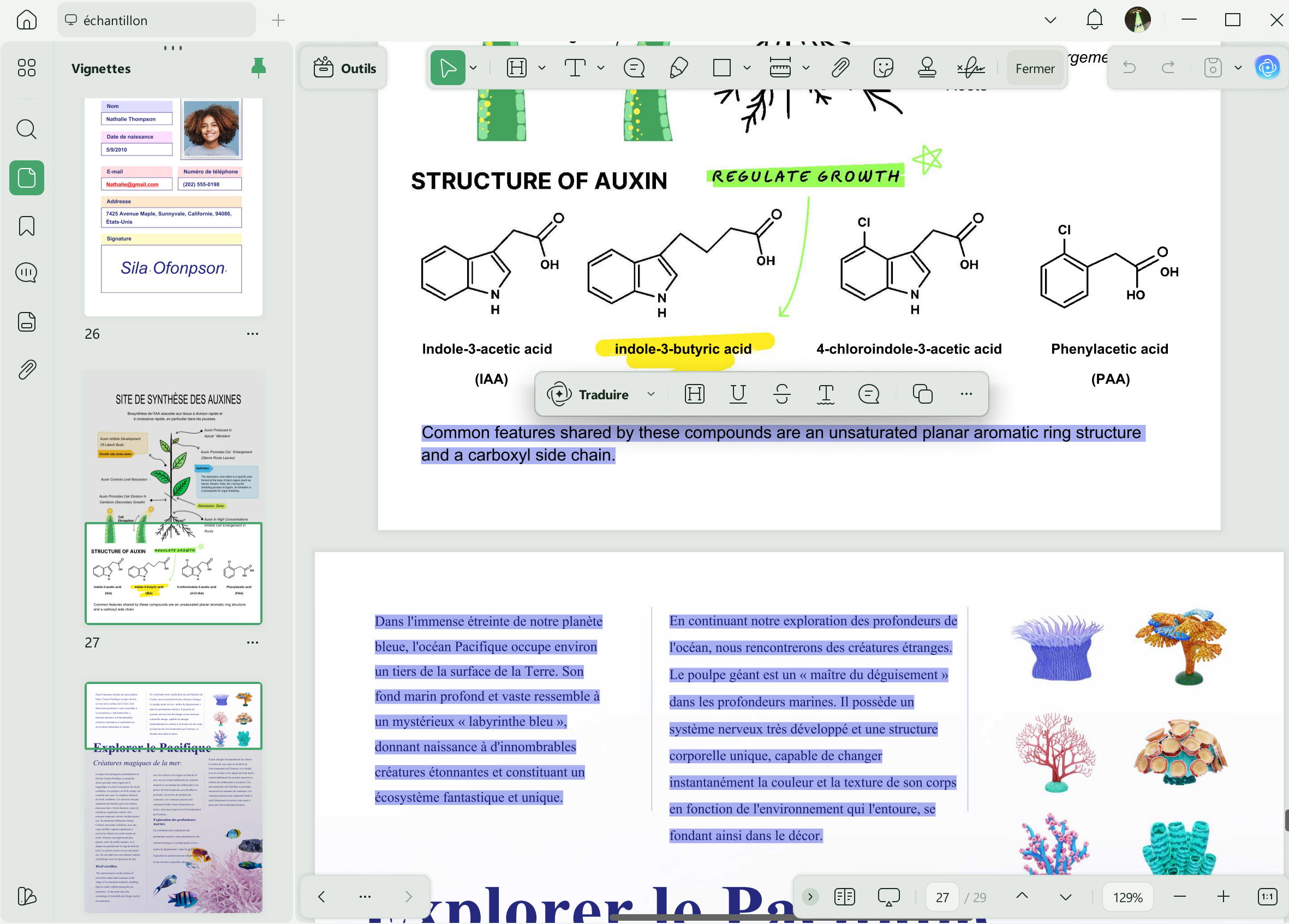 copier sur plusieurs pages updf win