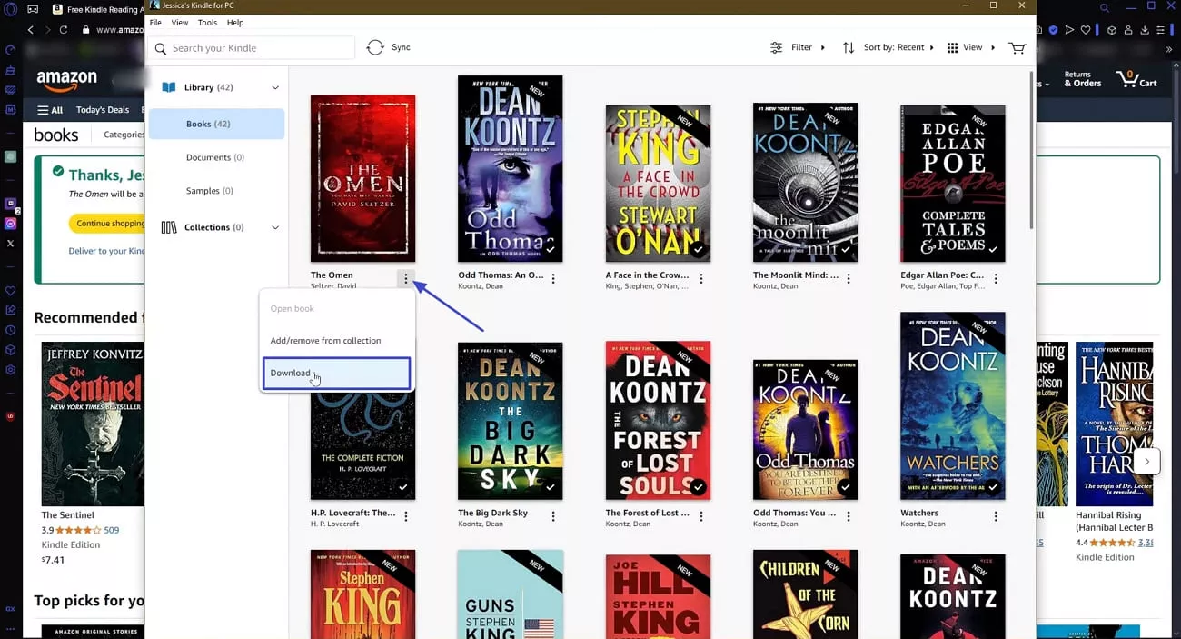 download kindle ebook offline reading