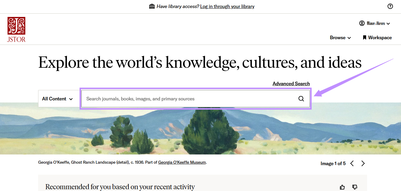 enter a search query