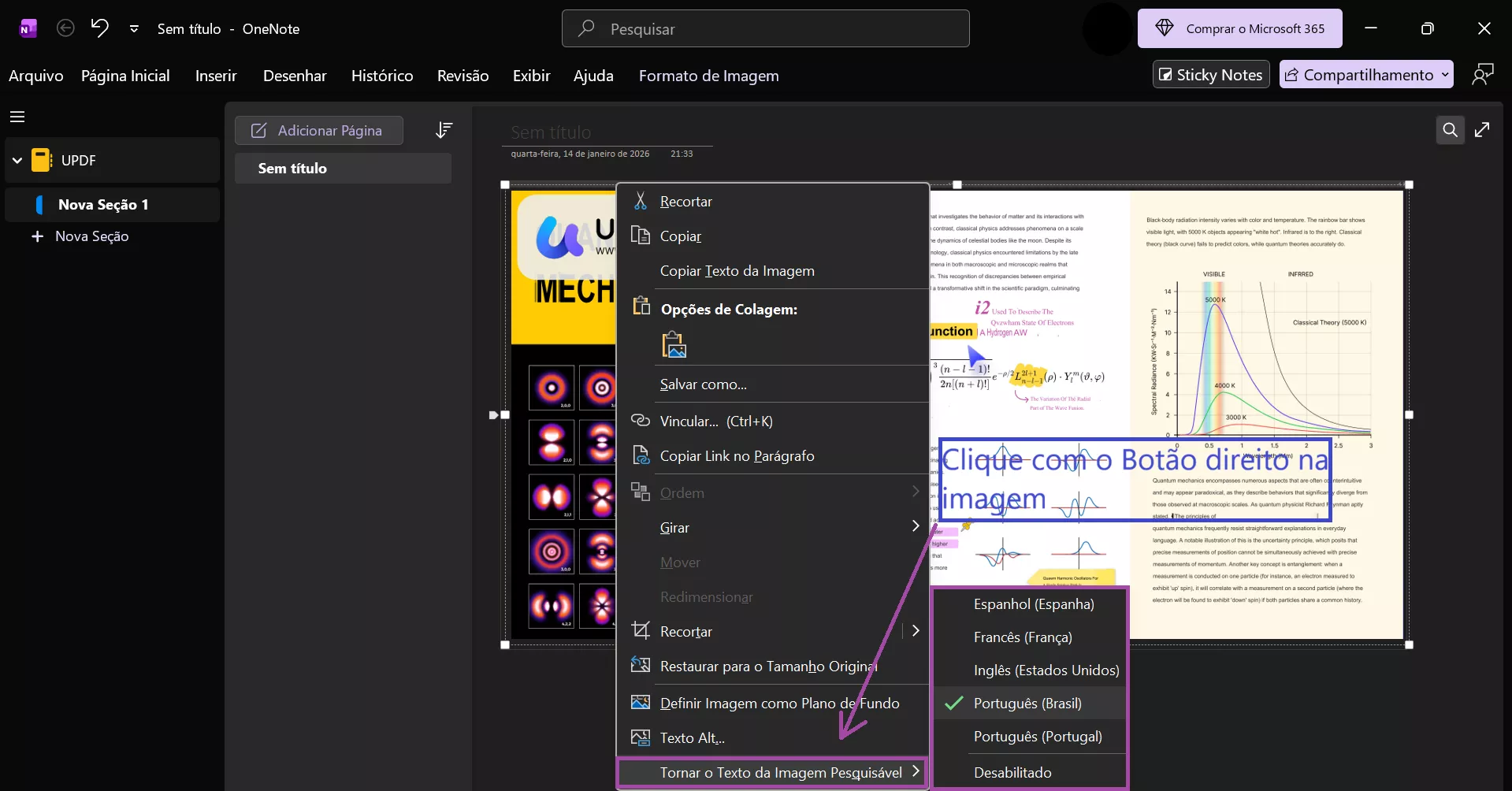 copiar texto da imagem