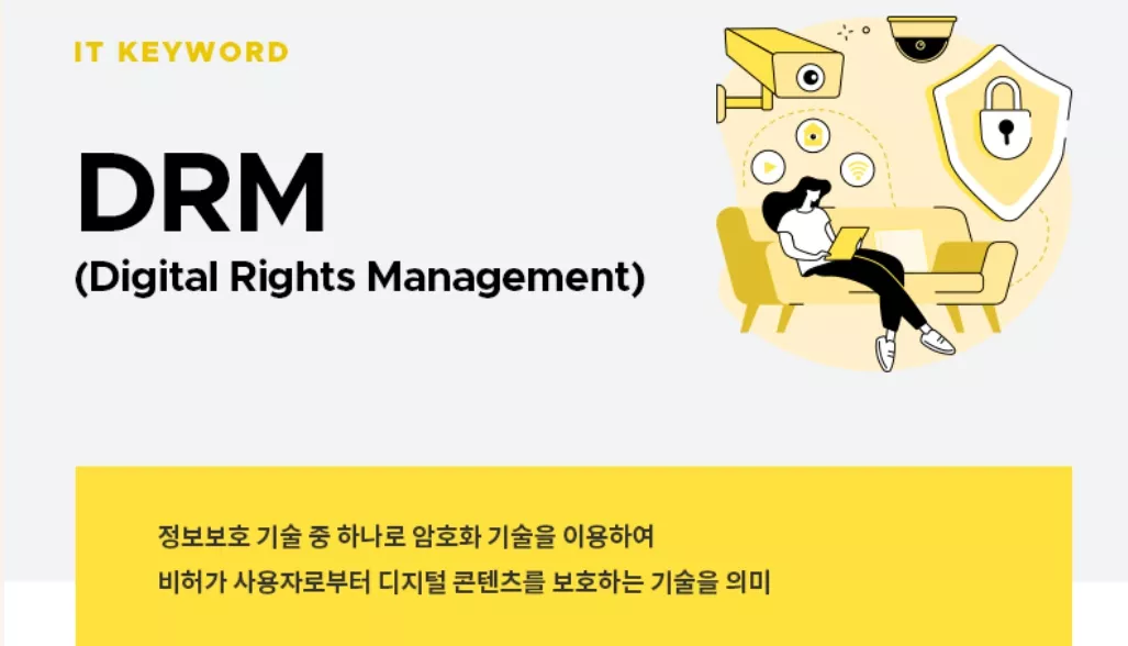 drm 파일 의미