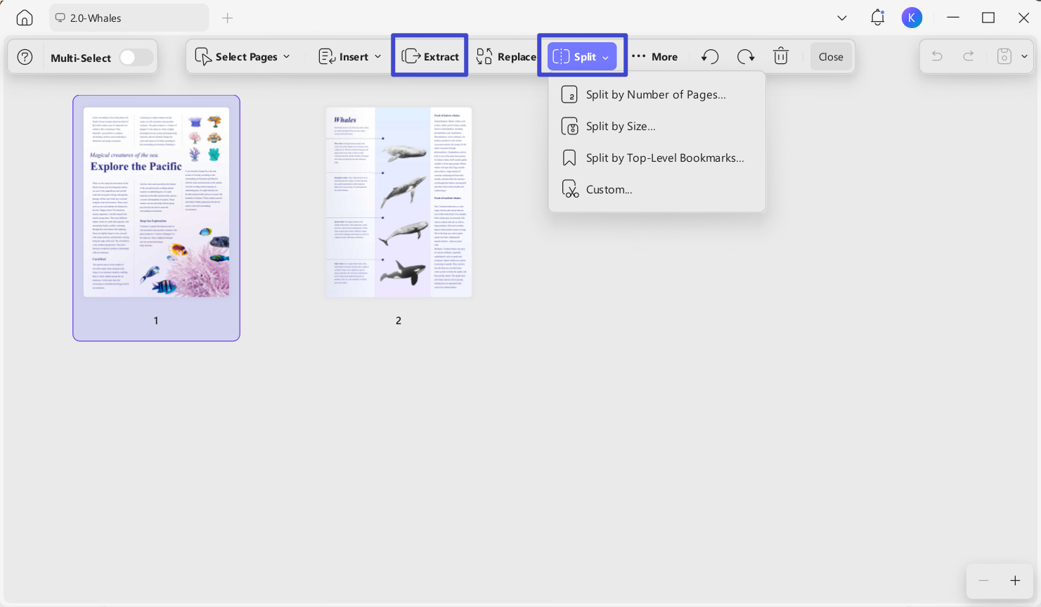 split pdf option in updf