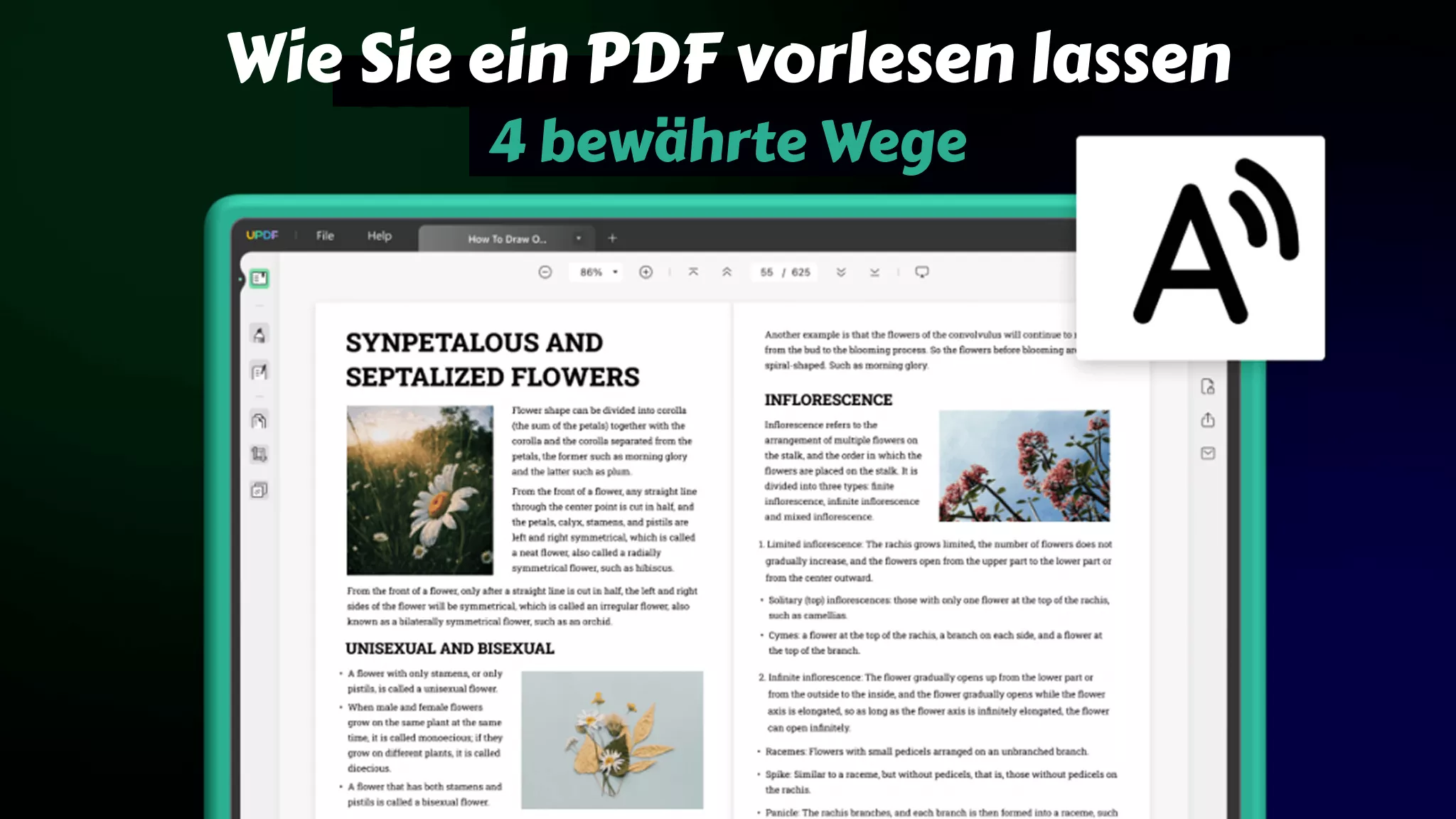 Wie Sie ein PDF vorlesen lassen (100 % funktionierende Methoden)
