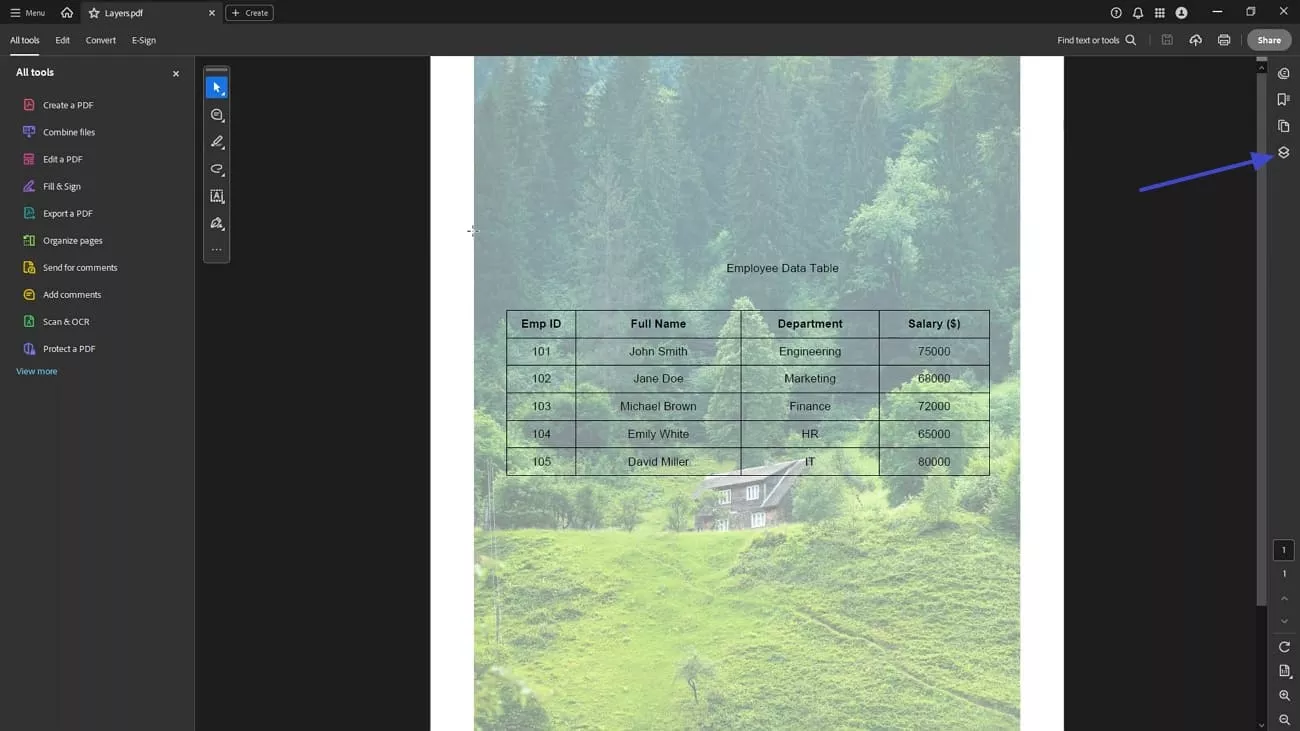 access layer management interface acrobat