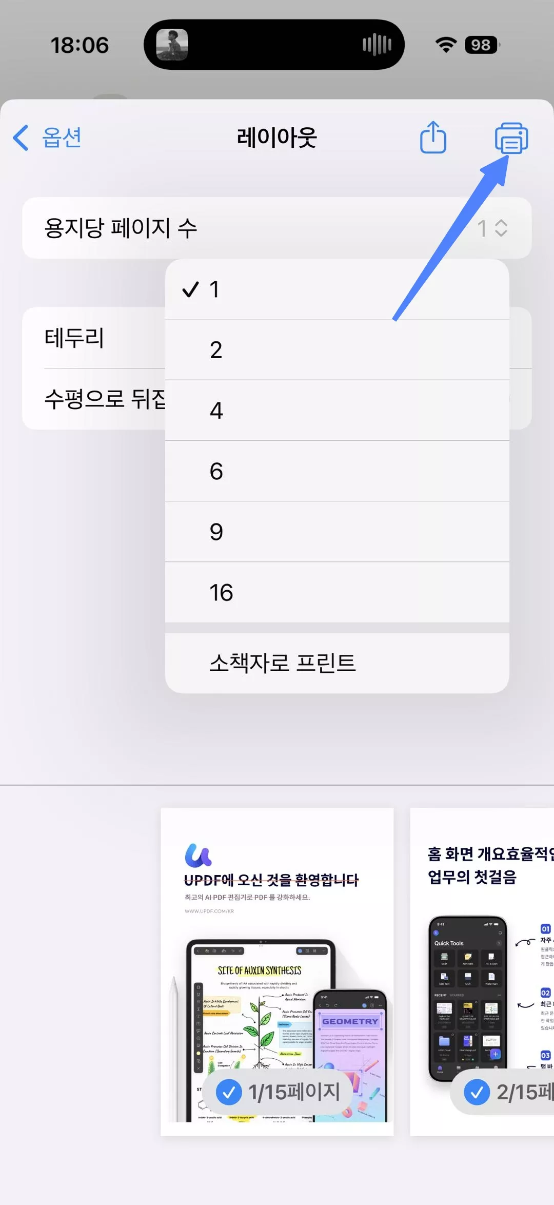 아이폰 pdf 한 페이지에 여러 장 인쇄 용지당 페이지 수 설정