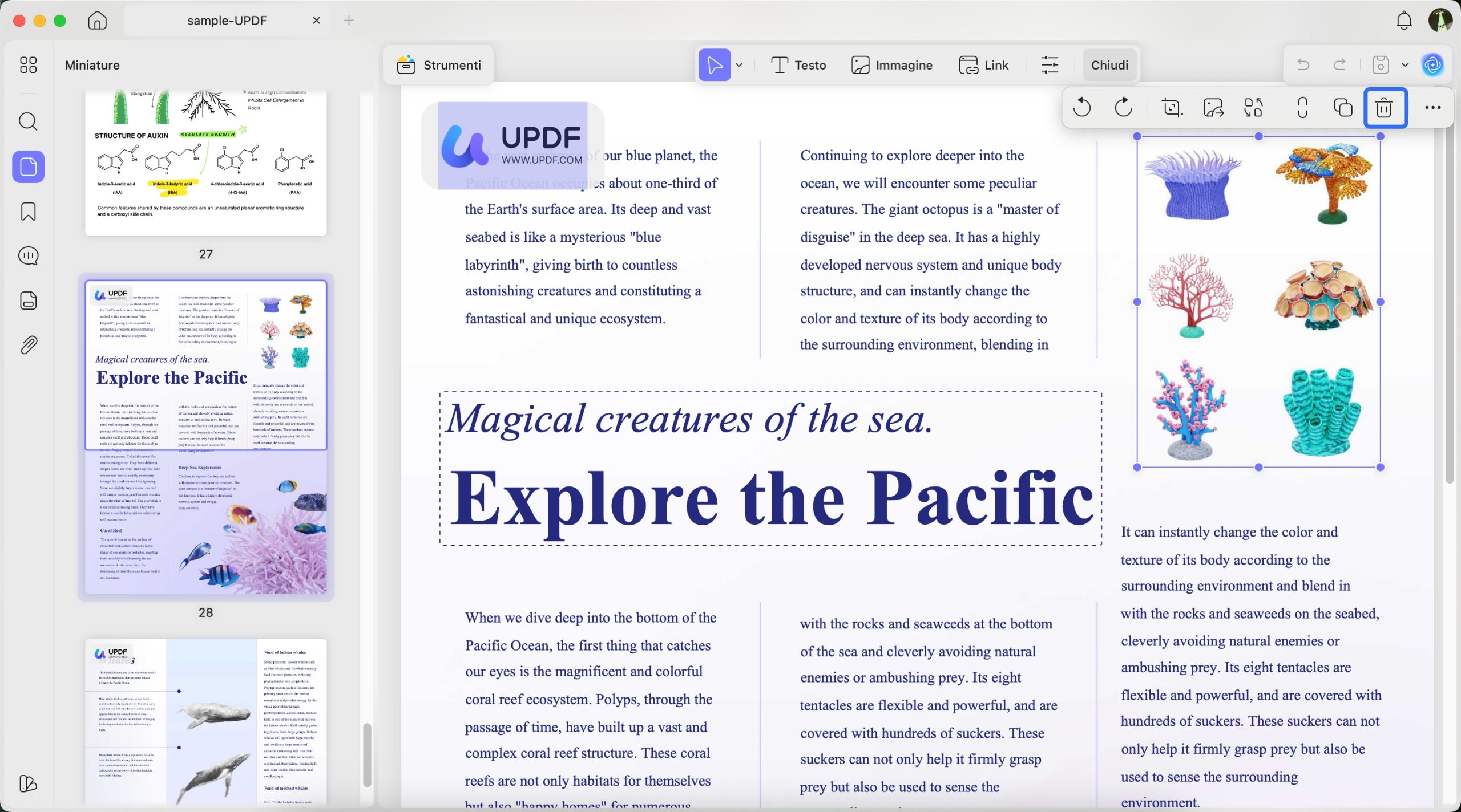 delete text from pdf mac press backspace to delete text