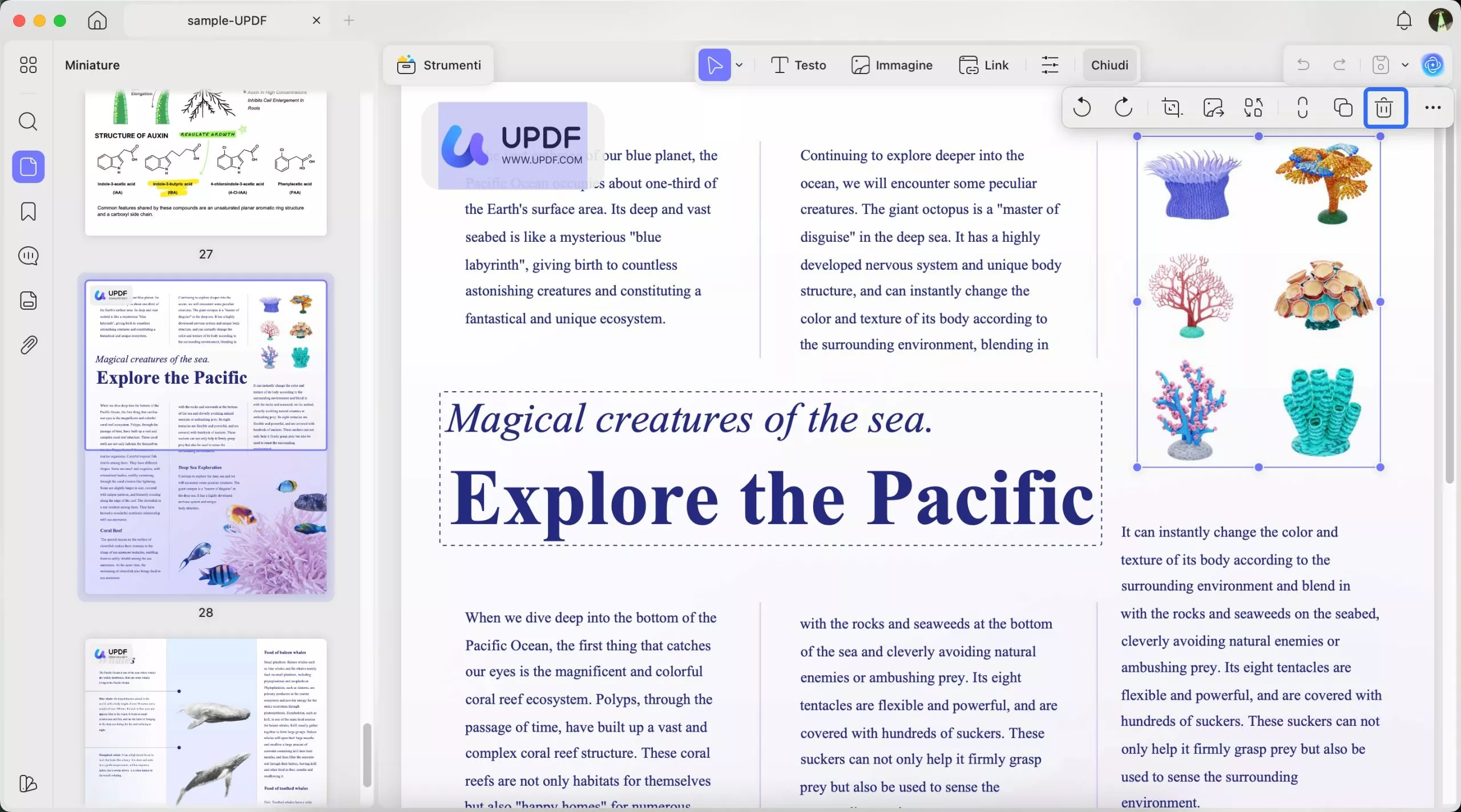 delete text from pdf mac press backspace to delete text