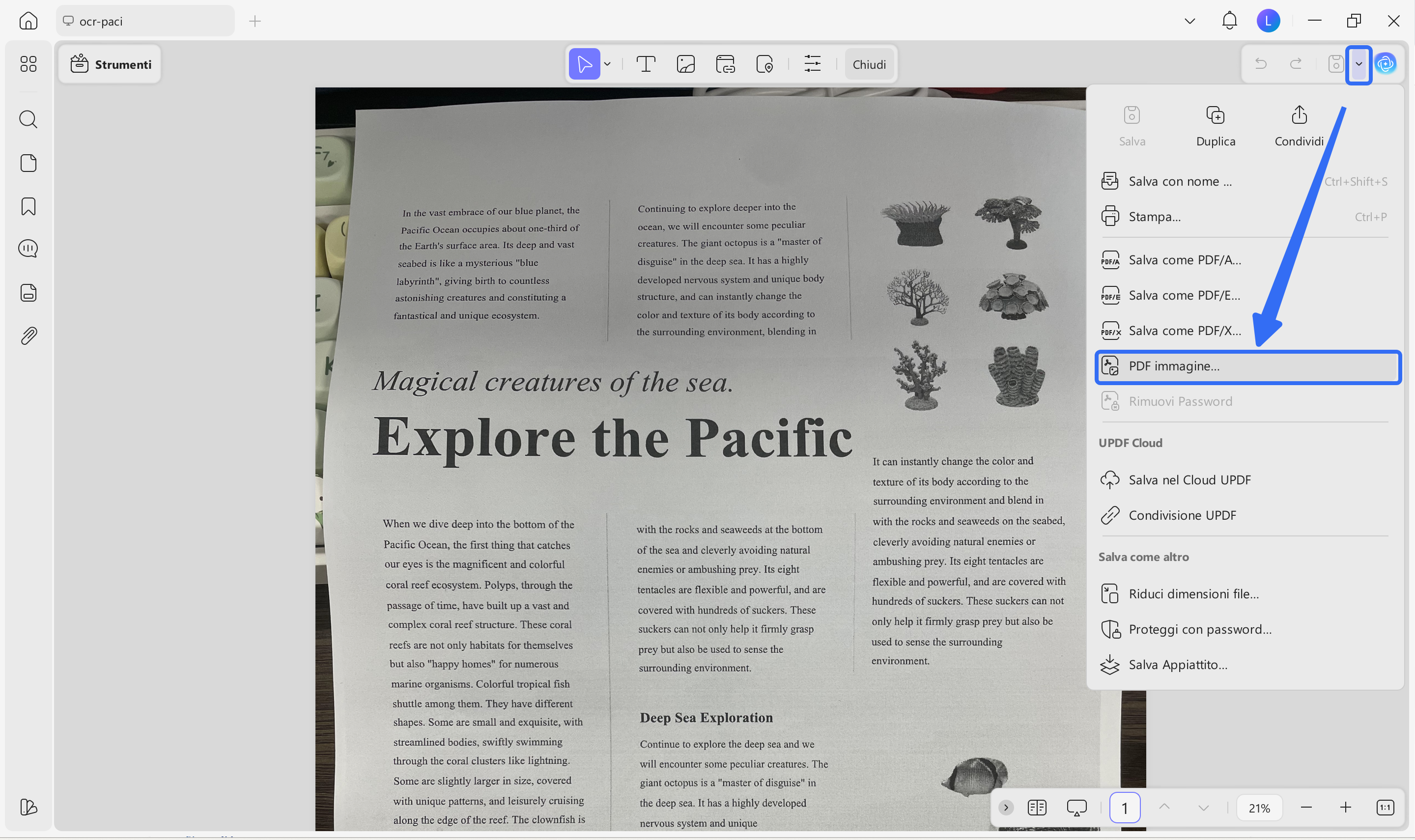 pdf image 